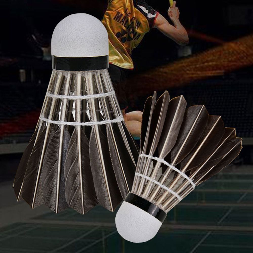 3/6/12Pcs Accessories Stable S - Feather Shuttlecock ulasan dan harga